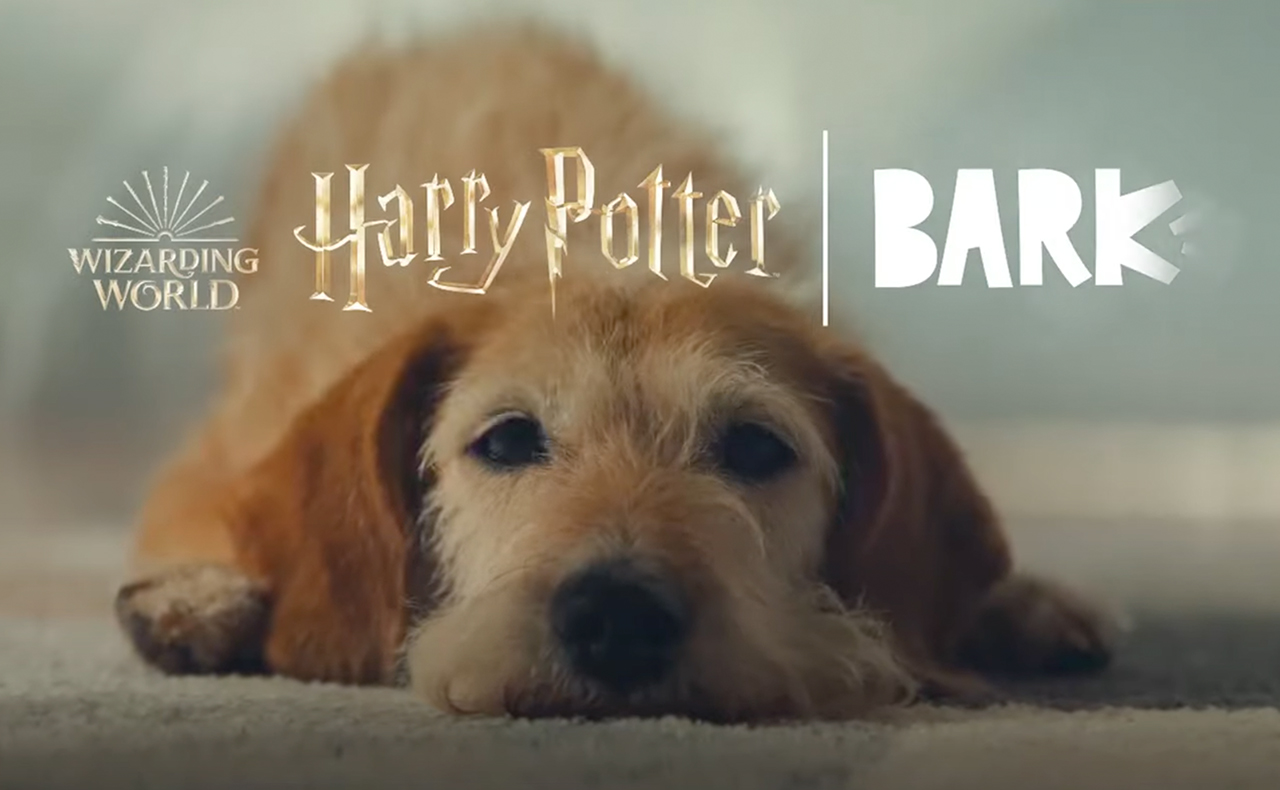 The HARRY POTTER™ Bark Box